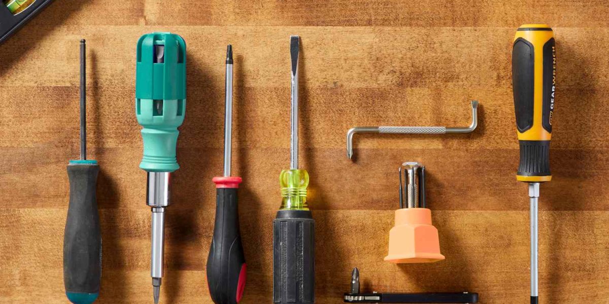 Screwdriver Types: What You Need for Every Project - WpLov