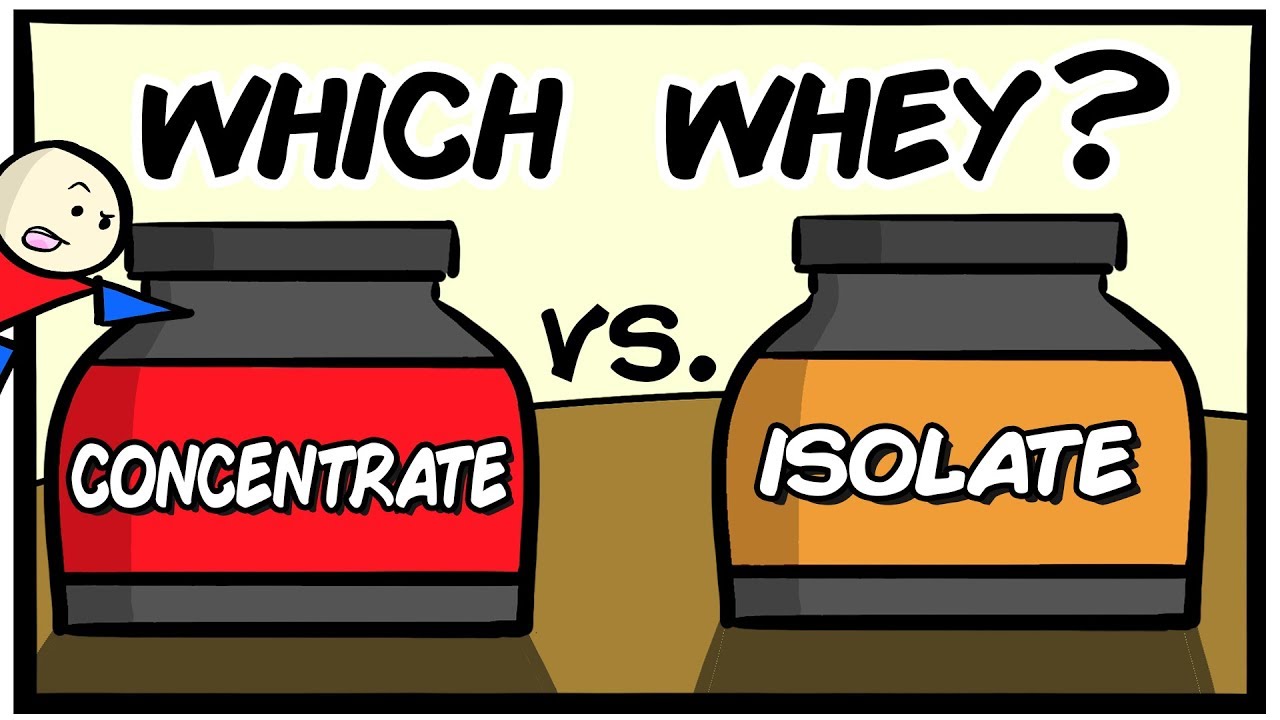 Whey Protein Isolate Vs Concentrate What S The Difference Wplov