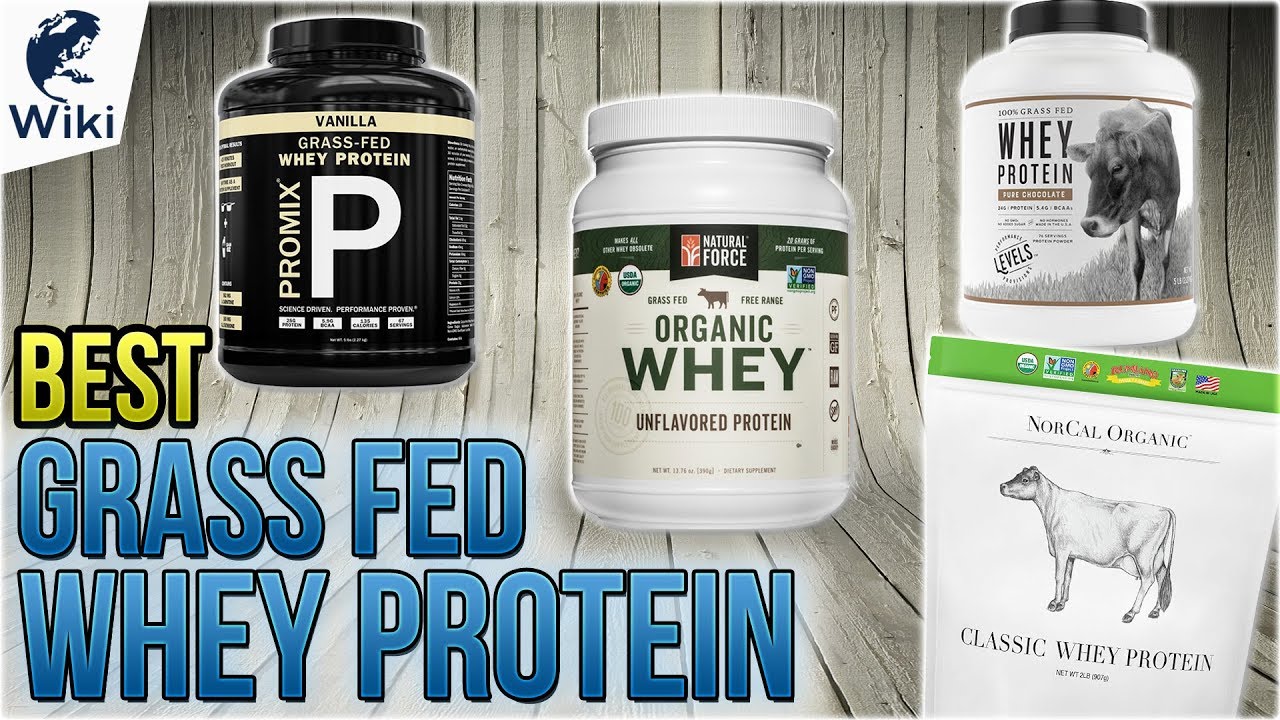 Organic Whey Protein Vs Regular Whey Protein WpLov